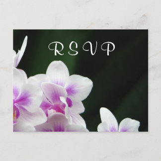 De Invitación Postal RSVP Orquídea