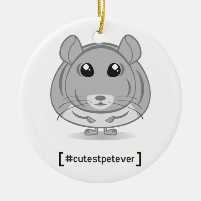 De la chinchilla del mascota el ornamento más (Frente)