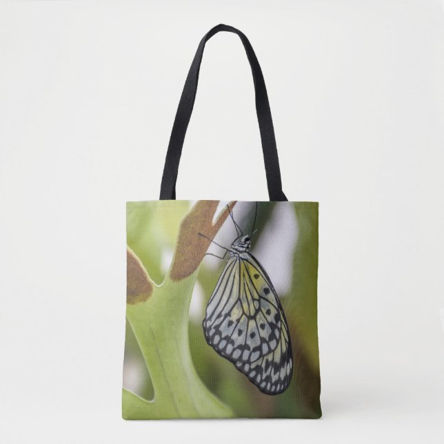 De la mariposa la bolsa de asas cercana para (Anverso)