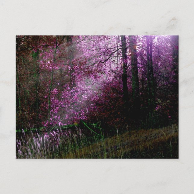 De la postal de la oscuridad (Anverso)