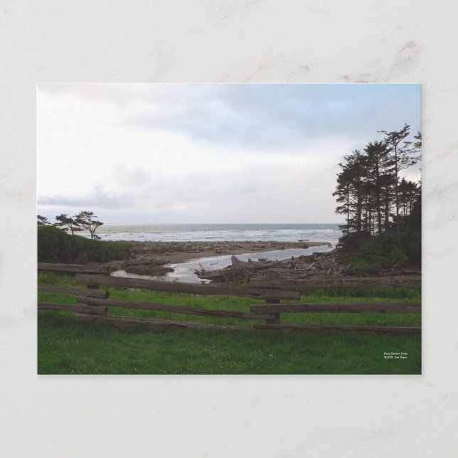 De la postal Kalaloch Lodge (Anverso)