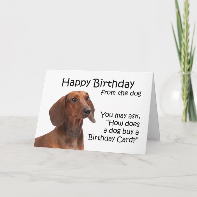 De la tarjeta de cumpleaños de Dachshund (Anverso)