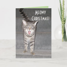 De la tarjeta de Navidades del gato