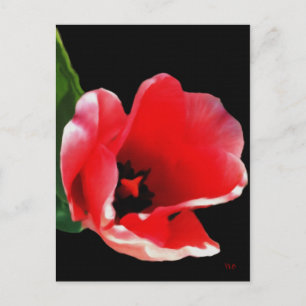 De Las Postales Del Jardín