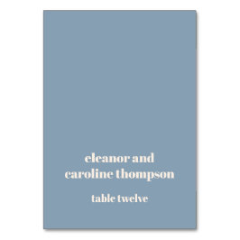 De Mesa Tarjeta Dusty Blue Retro Custom Wedding Place Card