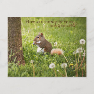 De mi cuello del bosque a tu postal