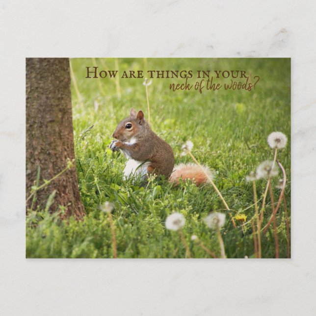 De mi cuello del bosque a tu postal (Anverso)