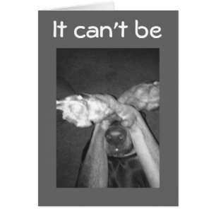 DE NINGUNA MANERA IMPOSIBLE-**30th*** DICE PERRO I