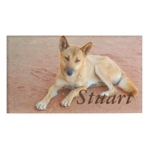 De Nombre Etiqueta conocida del Dingo