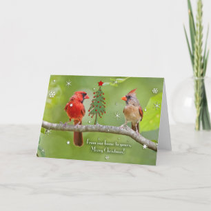 De nuestra casa a la tuya, Feliz Navidad (Cardenal