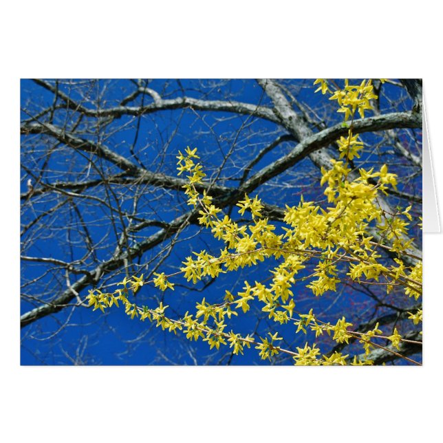 De nuevo (Anverso (Horizontal))