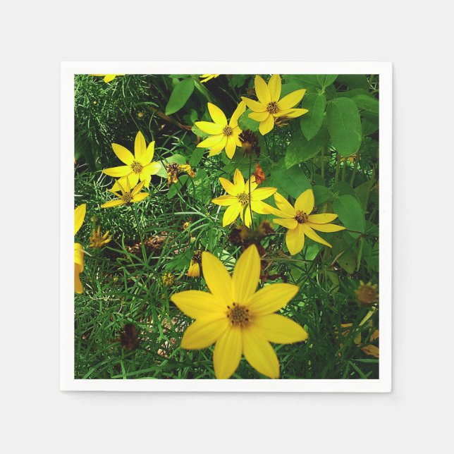 De Papel servilleta SPLASH OF SPRING (Anverso)