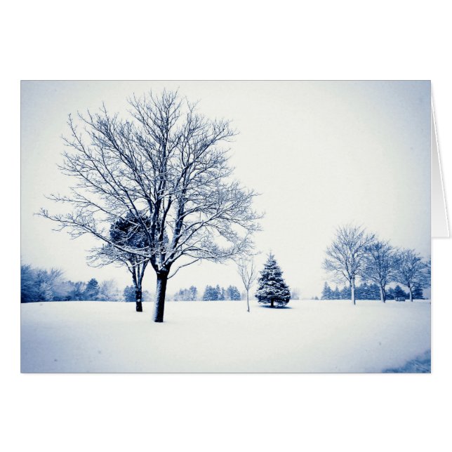 De pie en la nieve (Anverso (Horizontal))