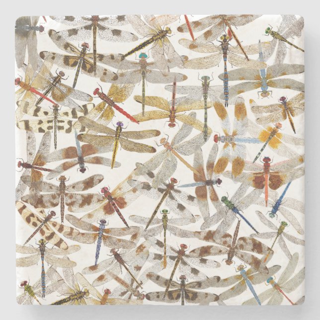 De Piedra ¡Las libélulas Galore! Posavasos (Anverso)