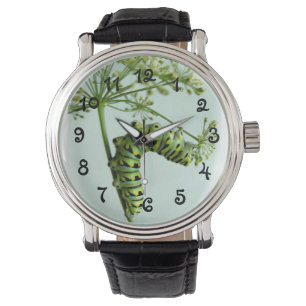 De Pulsera Black Swallowtail Caterpillar perejil reloj