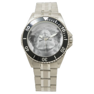 De Pulsera El camello blanco y negro besa el reloj para