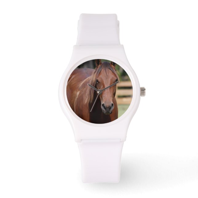 De Pulsera Fotografía del caballo en el reloj (Anverso)