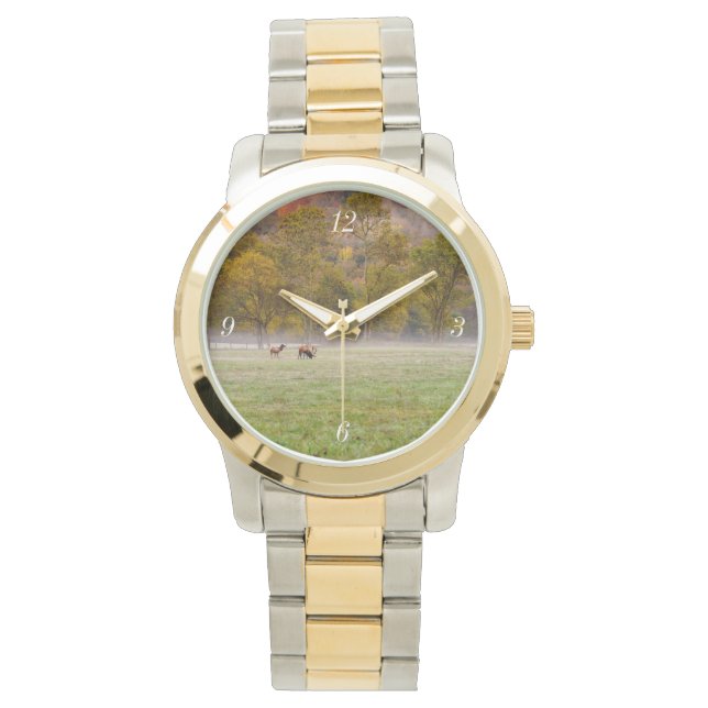 De Pulsera Grazk Pareja Elk Oro y Reloj Plateado (Anverso)