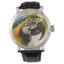 Hablar como un reloj pirata