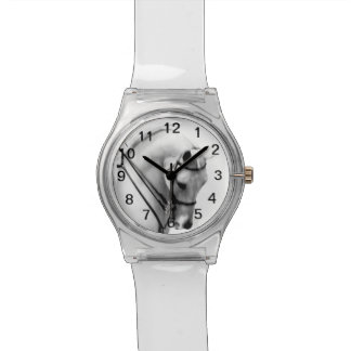 De Pulsera Reloj árabe majestuoso del caballo