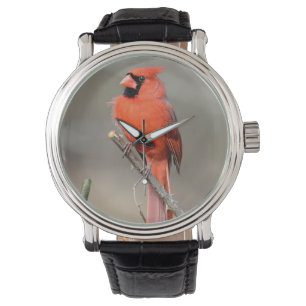 De Pulsera Reloj cardinal