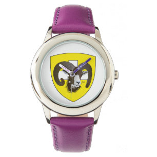 De Pulsera Reloj con el diseño Schaffhausen Suiza del suizo