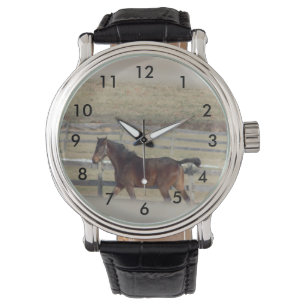 De Pulsera Reloj del caballo