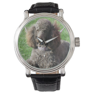 De Pulsera Reloj del caniche