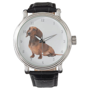 De Pulsera Reloj del Dachshund
