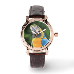 De Pulsera Reloj del loro