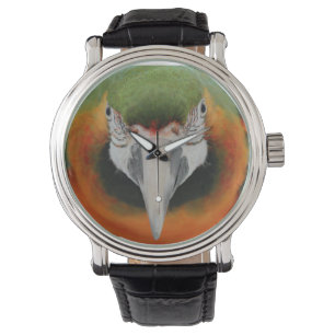 De Pulsera Reloj del macaw del Harlequin