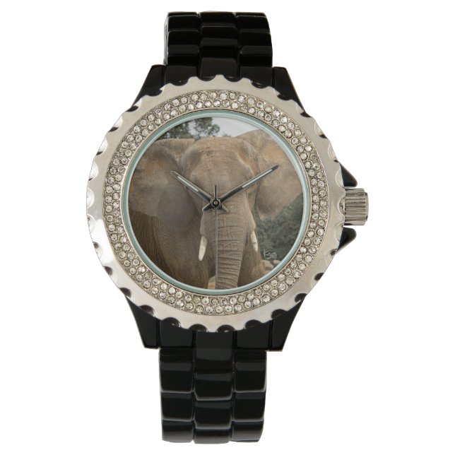 De Pulsera Reloj Dumbo (Anverso)