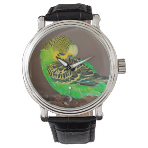 De Pulsera Reloj el dormitar Budgie