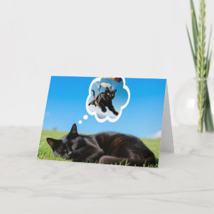 ¡De qué sueñan los gatos! Tarjeta