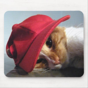 De Ratón Alfombrilla con gato lindo que lleva gorra roja