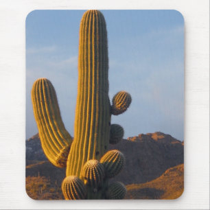 De Ratón Cactus Saguaro Iluminado por el Sol - Alfombrilla