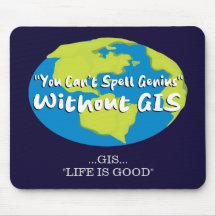 GIS, Alfombrilla geoespacial