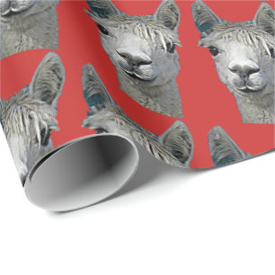 De Regalo Alpaca en el papel rojo