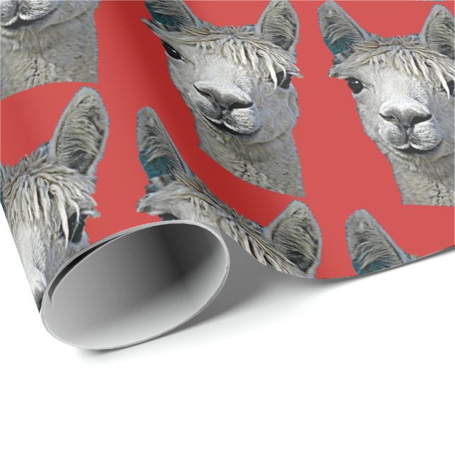 De Regalo Alpaca en el papel rojo (Esquina del rollo)