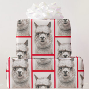 De Regalo Llama acuarela envolver papel sonrisas alpaca