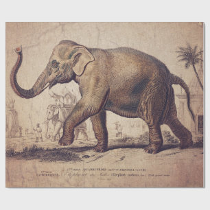 De Regalo Papel envuelto o desenvolver elefante