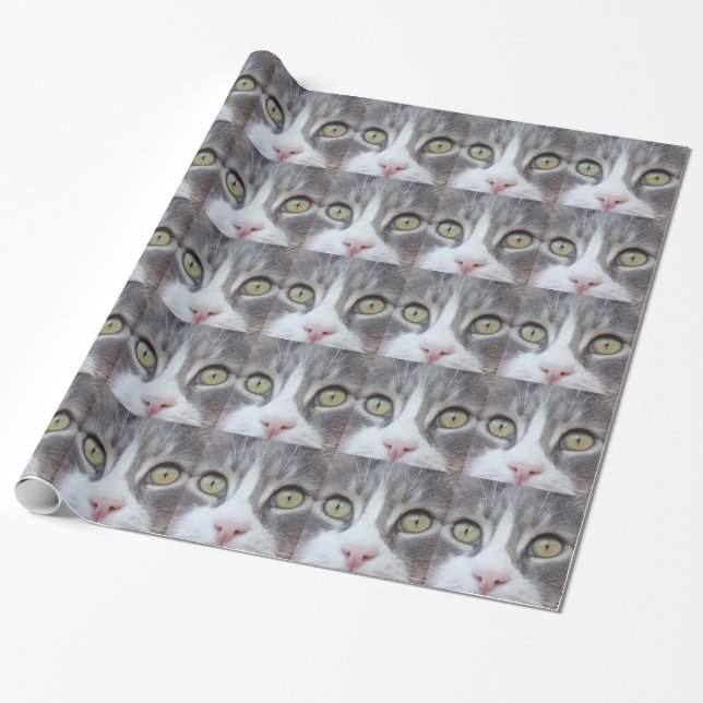De Regalo Papel para envolver ojos y nariz (Desenrollado)