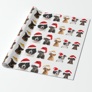 De Regalo Perros en Santa hat Papel envuelto para Navidades