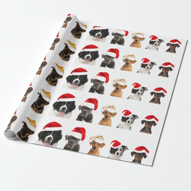 De Regalo Perros en Santa hat Papel envuelto para Navidades (Desenrollado)