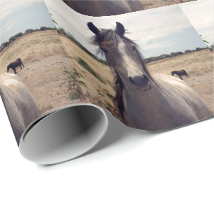 De Regalo Star The Arab Pony, Papel envuelto