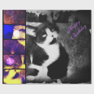 De Regalo Tuxedo Kitten Photo Art Papel Acondicionado *Cumpl