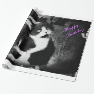 De Regalo Tuxedo Kitten Photo Art Papel Acondicionado *Cumpl
