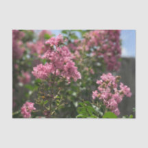 Crepe Myrtle papel tisular