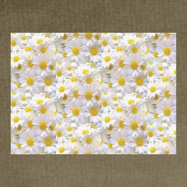 De Seda Daisies Desnudan Papel Tejido (Subido por el creador)