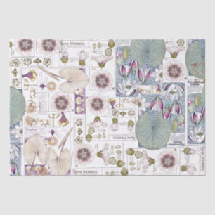 De Seda El arte francés Nouveau Waterlily florece el papel